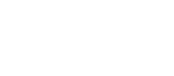 Naoki Matcha logo