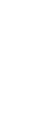 Tsujiki logo